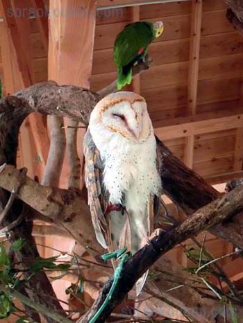 バイオパーク紹介写真