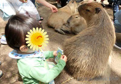 バイオパーク紹介写真