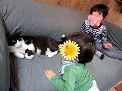 バイオパーク紹介写真