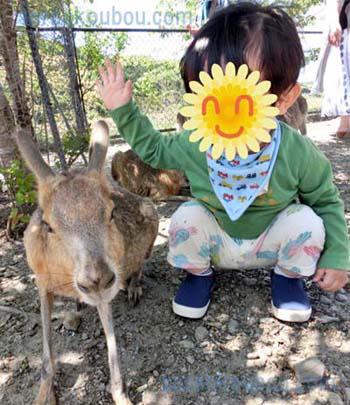 バイオパーク紹介写真