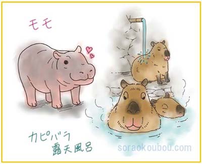 バイオパーク紹介イラスト