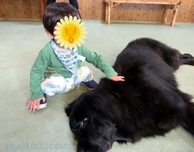 バイオパーク紹介写真