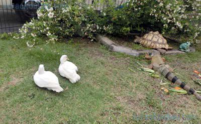 バイオパーク紹介写真